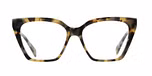 TOKYO TORTOISE