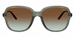 Transparent Mallard Green / Green / Green Gradient Brown