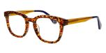 TEXTURE TORTOISE