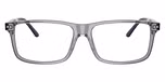 Shiny Transparent Grey