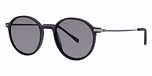 Black (polarized)