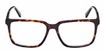 Dark Havana / Dark Havana