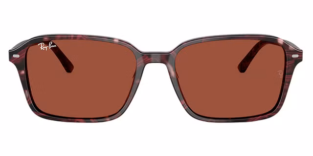 Ray-Ban - RB2231 RAIMOND