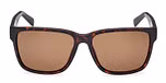 DARK HAVANA / DARK HAVANA / BROWN / POLARIZED