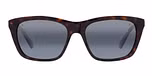 Tortoise / Blue Polarlynx / Polarized
