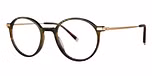 Visor Tortoise