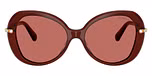 Transparent Burgundy / Red / Dark Violet