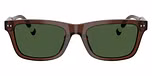 Shiny Transparent Brown / Dark Green