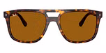 Havana / B-15 Brown