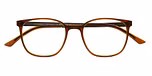 BROWN MEDIUM TRANSPARENT