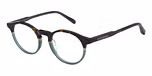 TORTOISESHELL