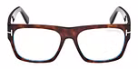 DARK HAVANA / DARK HAVANA