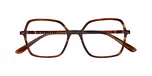 TORTOISE MEDIUM TRANSPARENT