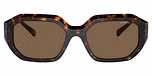 Dark Havana / Dark Brown