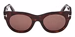 DARK HAVANA / DARK HAVANA / BROWN