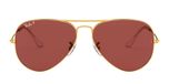 LEGEND GOLD / gold / purple polarized