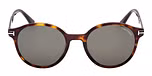 DARK HAVANA / DARK HAVANA / GREEN