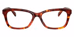 Walnut Tortoise