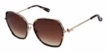 GLOSS TORT/ PURPLE / GRADUATED