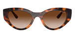 Dark Havana / Brown / Gradient Brown