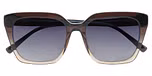 BROWN DARK TRANSPARENT / GRADUATED