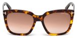 DARK HAVANA / GRADIENT BROWN