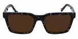 BLACK TORTOISE