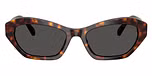 Havana / Tortoise / Dark Grey