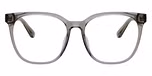 Transparent Light Grey