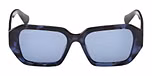 COLOURED HAVANA / COLOURED HAVANA / BLUE
