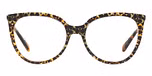 Spotty Tortoise Signature C