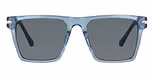 Blue / Gray Polarised Lens