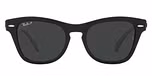 BLACK / black / polarized black