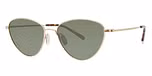Gold / polarized