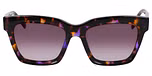 VIOLET TORTOISE