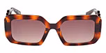 DARK HAVANA / DARK HAVANA / GRADIENT BROWN