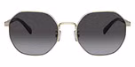Shiny Light Gold / Grey Gradient