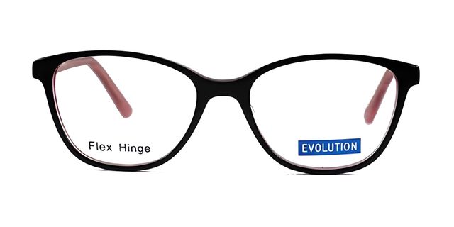 Evolution - EV1101