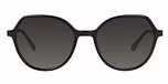 Black / Gray Polarised Lens