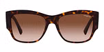 Dark Havana / Gradient Brown