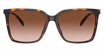 Dark Tortoise / Tortoise / Brown Gradient
