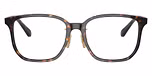 Dark Havana / Brown