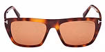 BLONDE HAVANA / BLONDE HAVANA / BROWN