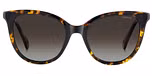 HAVANA / BROWN SHADED POLARIZED