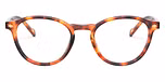 Havana Honey / Tortoise