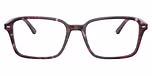 Transparent Fantasy Violet/Red 