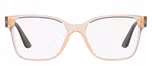 Transparent Light Brown / Brown