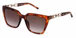 SHINY HAVANA / BROWN GRADIENT BROWN