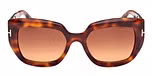 BLONDE HAVANA / BLONDE HAVANA / GRADIENT BROWN