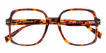 Dark Tortoiseshell